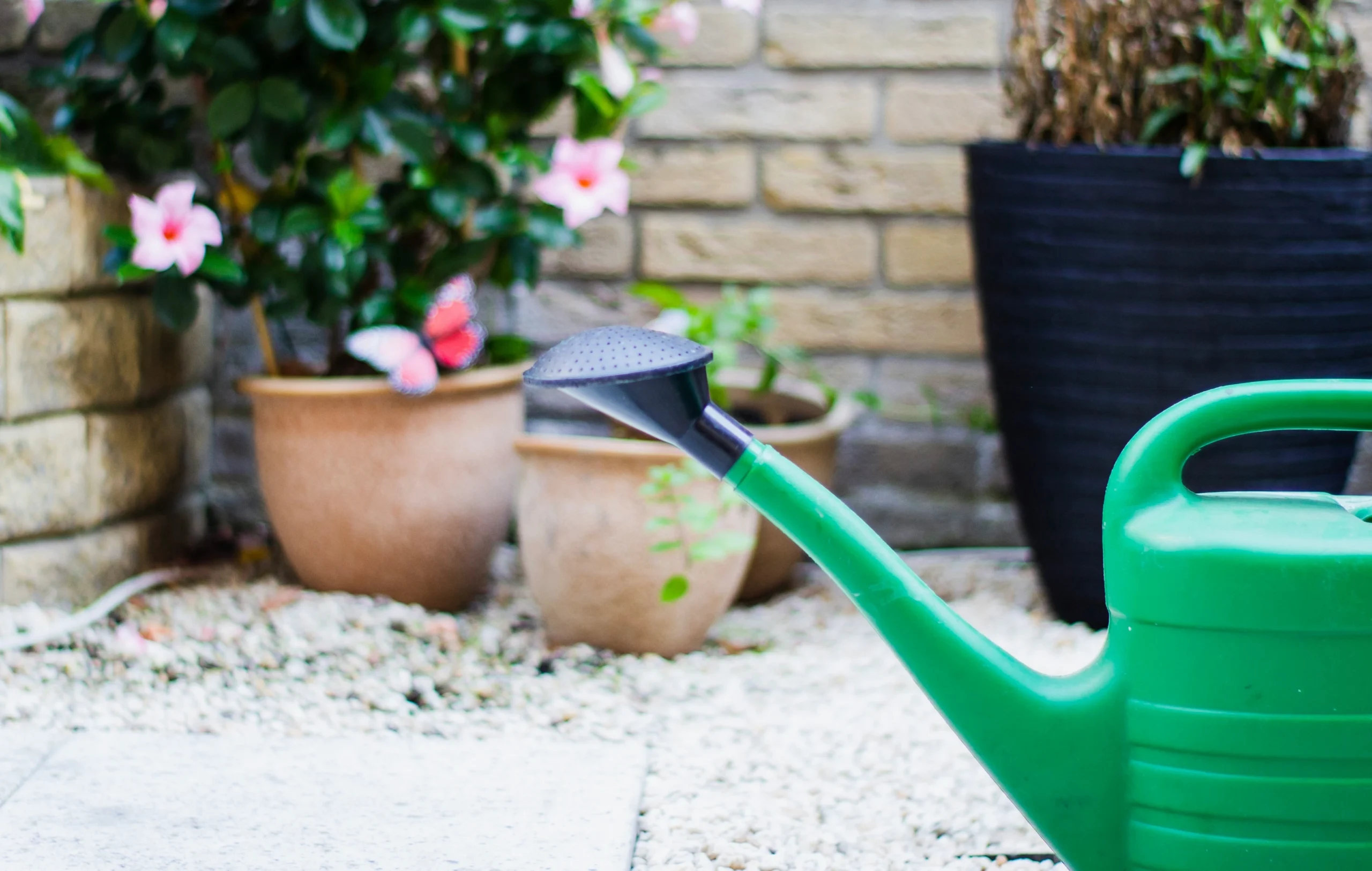 A green plastic watering with plant pots in the background